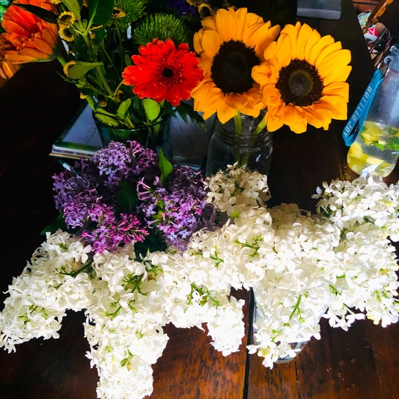 Meet your Posher, Ali - Picture 1 of 1